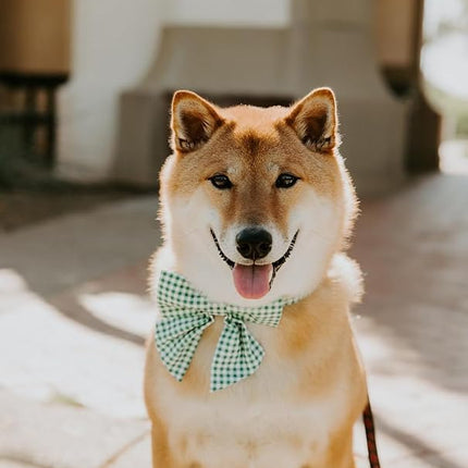 Lionet Paws Dog Collar with Sailor Bow, Durable Adjustable and Comfortable Green Bowtie Collar for Dogs, Medium, Neck 13.5-22in