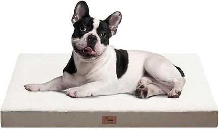 Plush Orthopedic Dog Bed for Medium Dogs & Puppies, Waterproof Dog Beds 30x20 Inch with Removable Washable Cover, Egg Crate Foam Flat Pet Mat, Khaki White