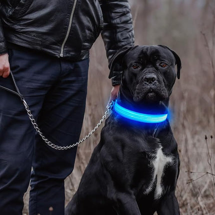 Light Up Dog Collar, USB Rechargeable LED Dog Collars Glow in The Dark, 3 Flash Mode Safety Collar Light for Nighttime Walking (Blue, L)
