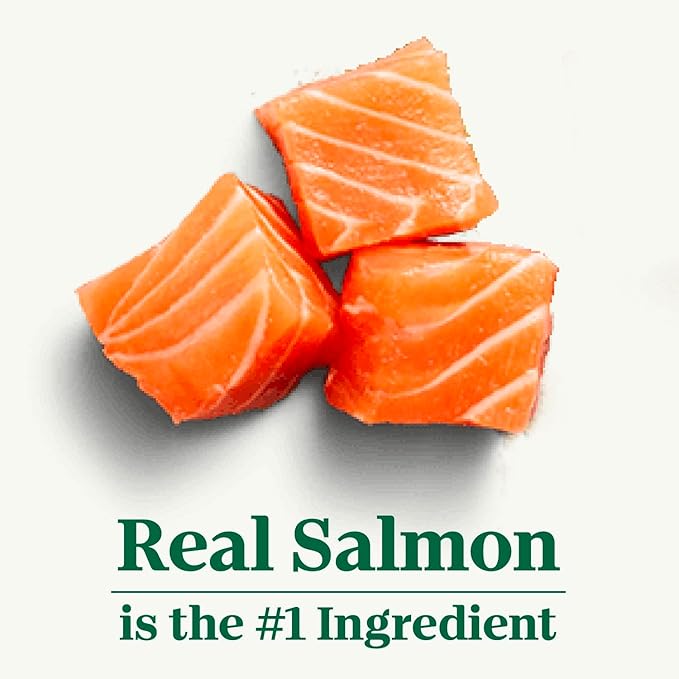 Nutro Natural Choice Small Bites Adult Dry Dog Food, Salmon and Brown Rice Recipe, 28 lbs.