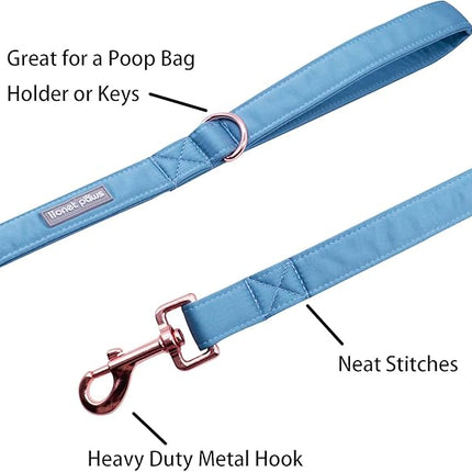 Lionet Paws Dog Leash - Silk Blue Leash for Small Medium Large Dogs Matching Collar for Girl and Boy(Leash-XS (Pack of 1))