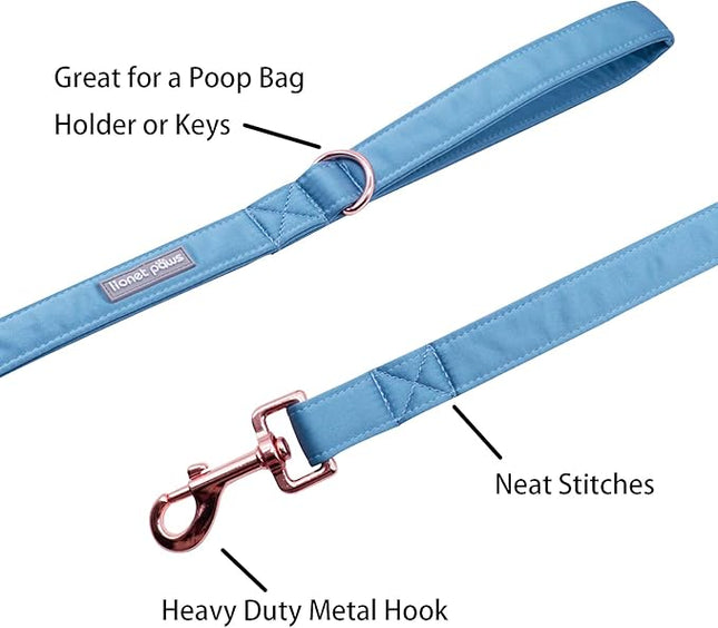 Lionet Paws Dog Leash - Silk Blue Leash for Small Medium Large Dogs Matching Collar for Girl and Boy