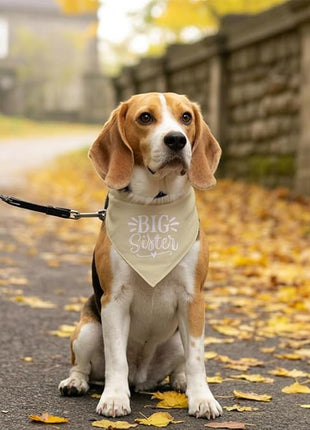 Big Sister Dog Bandana, Light Yellow Dog Bandana, Pet Scarf Accessories, Pet Triangle Scarf, Pets Bandana for Small Medium Dogs, Baby Announcement Dogs Bandana