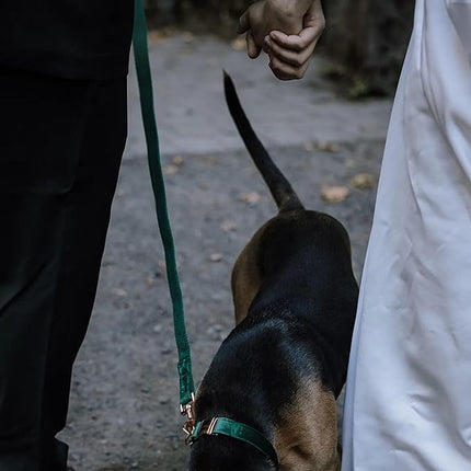 ARING PET Velvet Dog Collar and Leash Set, Soft Dog Collar and Leash, Adjustable Collars for Dogs