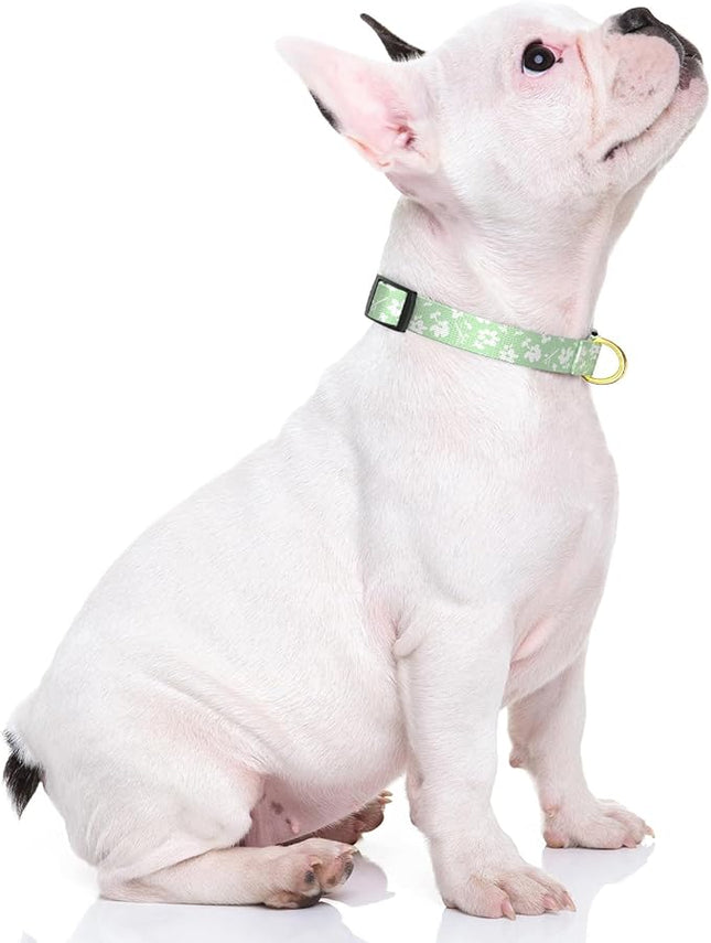 Rnivvi Dog Collar for Small Dogs, Cute Floral Heavy Duty Adjustable Puppy Collar with Quick Release Buckle for Girl & Female, Pet Accessories for Walking Running, XS Length 5/8" Width, Green