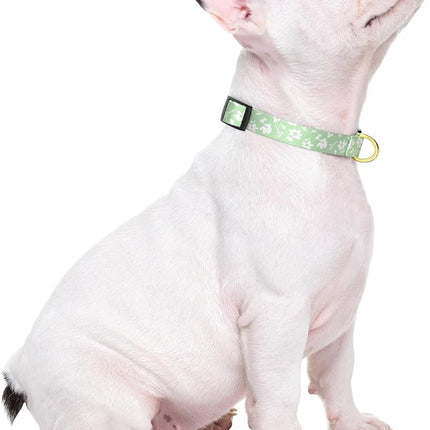 Rnivvi Dog Collar for Small Dogs, Cute Floral Heavy Duty Adjustable Puppy Collar with Quick Release Buckle for Girl & Female, Pet Accessories for Walking Running, S Length 3/4" Width, Green