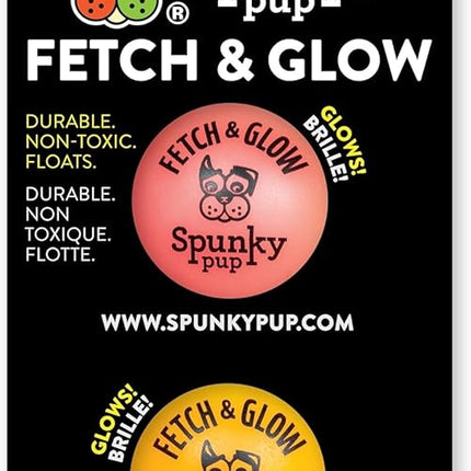 Spunky pup Dog Fetch Ball Small 2 Count (Pack of 1), (Assorted)