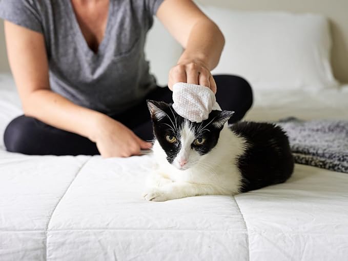 Cat All Purpose Pet WiPees™ – 100 Daily Cat Bath Wipes, All Natural Cat Wipes for Ears, Fur & Folds, Gentle Pet Wipes for Cats, pH-Balanced to Cats Specific Skin & Biome (Calming, 100ct)