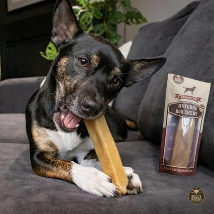 Bully Bunches Medium Authentic Yak Cheese Himalayan Chews for Medium & Small Dogs - All Natural Dog Treat Dental Chews, Made with Real Yak Milk - Lactose & Rawhide Free (2 Pk)
