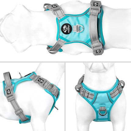 PHOEPET No Pull Dog Harness, Unique Colors Reflective Adjustable Dog Vest, with Soft Training Handle Metal Clips for Small Medium Large Dogs (Mint Green Base & Grey Straps,S)