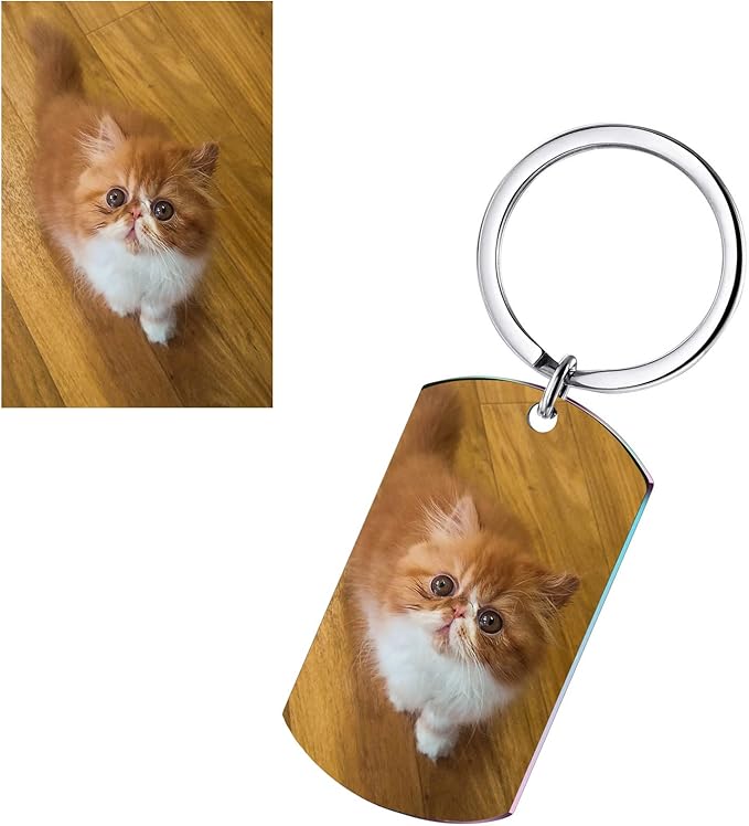 Funnylife Personalized Pet Memorial Keychain for Cats Stainless Steel Custom Pet Photo Memory Keepsake Loss of Cat Sympathy Gifts Cat Pass Away Gifts