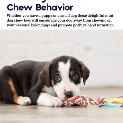 Petstages Orka Mini Dental Dog Chew Toys - 3 Pack