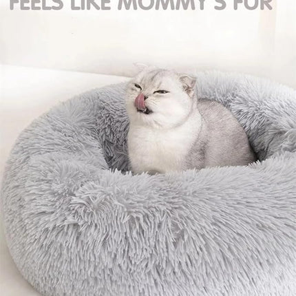 Cat Beds for Indoor Cats - Cat Bed Washable 20/24 inches, Dog Beds for Small Medium Dogs, Anti Anxiety Round Fluffy Plush Faux Fur Pet Bed, Thick Bottom (Light Grey, Medium)