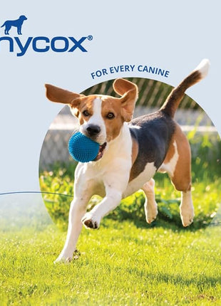 Canine Joint Support, 120 Soft Chews