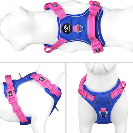 PHOEPET No Pull Dog Harness, Unique Colors Reflective Adjustable Dog Vest, with Soft Training Handle Metal Clips for Small Medium Large Dogs (Royal Blue Base & Pink Straps,M)