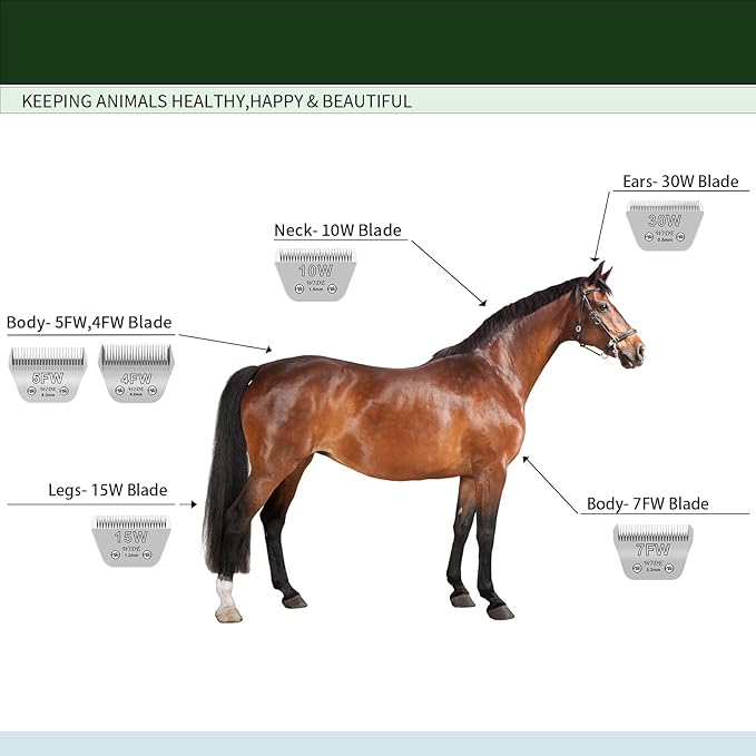 3 Pack 5 Wide Blades for Dog Grooming,Compatible with Andis,Oster A5,Wahl km10 Clippers,Cutting Length 1/4"