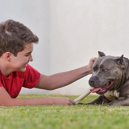 Cowdog Chews Retriever Roll 9-10 inch All Natural Rawhide Dog Treat (10 Pack)