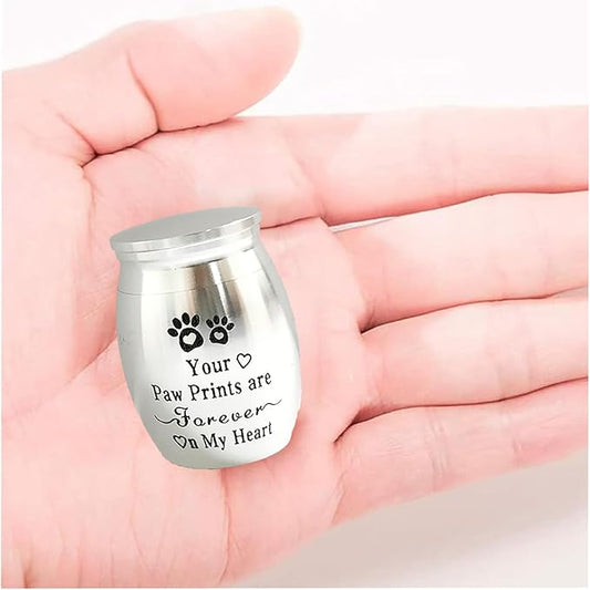 Small Pet Urns for Dogs Ashes Mini Urn Dog Ashes Cremation Keepsake Pet Memorial Urns Gift，Silver