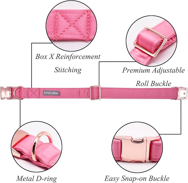 Lionet Paws Bowtie Dog Collar - Comfortable Silk Dog Collar with Detachable Bow Tie for Puppy and Cat, Neck 8-12 Inches