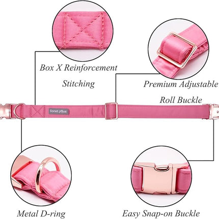 Lionet Paws Bowtie Dog Collar - Comfortable Silk Dog Collar with Detachable Bow Tie for Medium Dogs, Neck 13.5-22 Inches