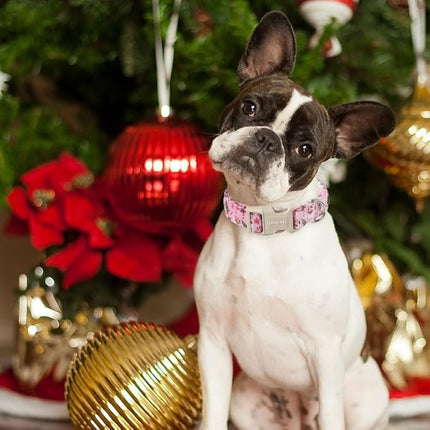 ARING PET Christmas Dog Collar, Cute Pink Santa Claus Christmas Tree Cotton Lightweight Pet Collars with Quick Release Buckle for Puppy Small Medium Large Boy Girl Dogs-L