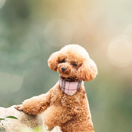 EXPAWLORER Dog Collar and Leash Set - Classic Plaid Dog Bow Tie and Dog Bandana Collar, Dog Leash Tangle Free, Adjustable Collars for Small Medium Large Dogs Cats, Holiday Ideal Gift