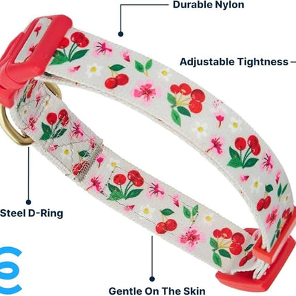 Blueberry Pet 7 Patterns Cherry Garden Grey Adjustable Dog Collar with Dainty Flowers, Large, Neck 18"-26"