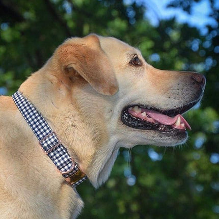 ARING PET Bowtie Dog Collar Adjustable Collars with Bow Tie for Dogs Small Medium Large