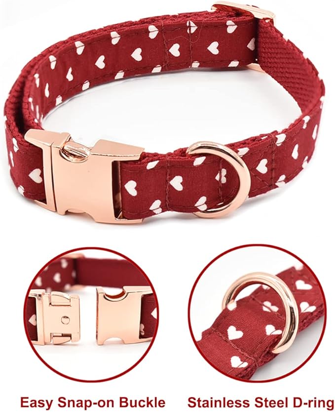 Bubblepup Dog Collar and Leash Set, Comfortable Adjustable Dog Collars for Small Medium Large Dogs