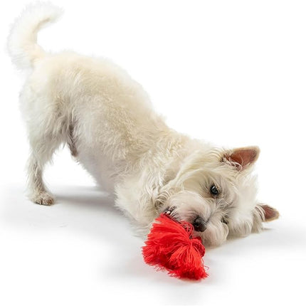 Playology Dog Toys | Dri-Tech Rope Toy Tug of War Rope for Aggressive Chewers | Medium Beef Scented Toy - Easy to Clean and Made from Non Toxic Materials