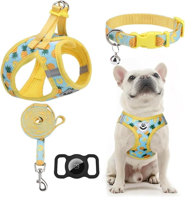 EXPAWLORER Small Dog Harness and Leash Set - Cute Puppy Harness Leash Dog Collar with AirTag Holder Silicone Case, Soft Padded Step in Pet Vest Reflective for Outdoor Walking, Pineapple XS