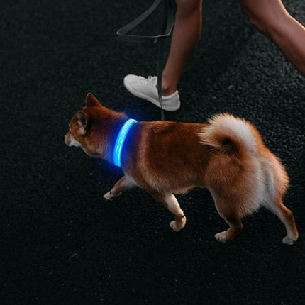 Light Up Dog Collar, USB Rechargeable LED Dog Collars Glow in The Dark, 3 Flash Mode Safety Collar Light for Nighttime Walking (Blue, L)