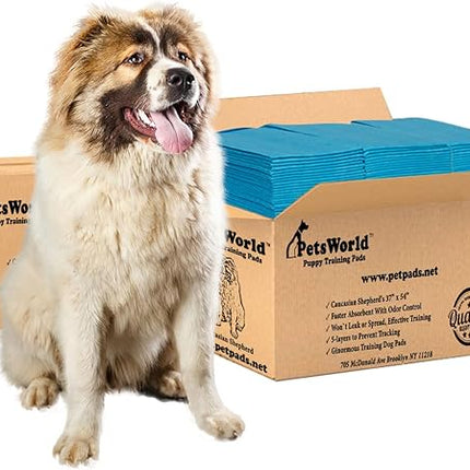 PETSWORLD Enormous Dog Training & Potty Pads, 37x54 inch - Tear Resistant with Strong Leak-Proof Backing, Optional Adhesive Tape, 200 Count