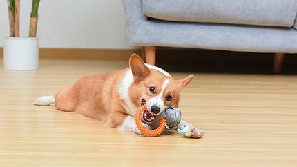 Star Wars for Pets GROGU Cradle Puppy Ring Teether Toy | GROGU Teething Toy for Puppies | Dog Toys, Puppy Teething Toys, Puppy Safe Chew Toys, Dog Chew Toys | Gifts for Star Wars Fans