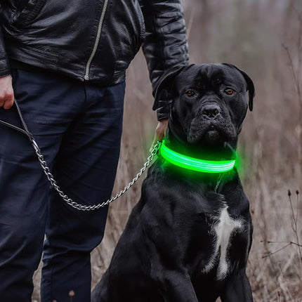 Light Up Dog Collar - Reflective LED Pet Collar Rechargeable Water-Resistant Adjustable Doggie Necklace Glowing Dog Lights for Night Walking (Blue, Large)