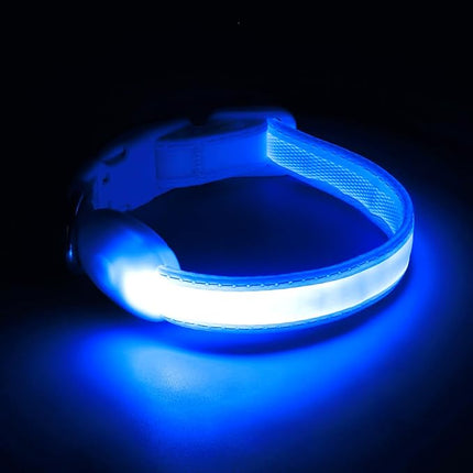 Light up Collar for Small Dog,Vizpet XS Adjustable Size Nylon Collar USB Rechargeable Bright Safety Pet Collar for Cats Small Dogs (Blue, X-Small[ 8.66-11.9 inch/22cm-30cm])