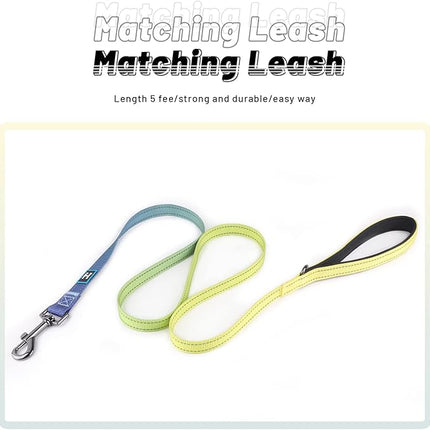 Roses&Poetry Reflective Dog Collar and Lead with Gradient Amber, Adjustable Durable Puppy Collars Leash for Extra Small Dogs (Amber-L)