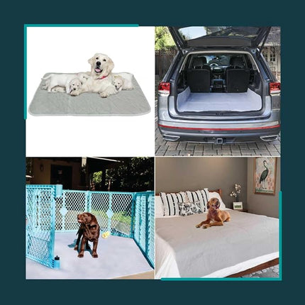 rocket & rex Premium XXL Non-Slip Washable Pee Pad for Dogs, Waterproof & Reusable Puppy Pad for Potty Training, Whelping, Travel, Lining Playpens & More, 72" x 72" (Pack of 1)
