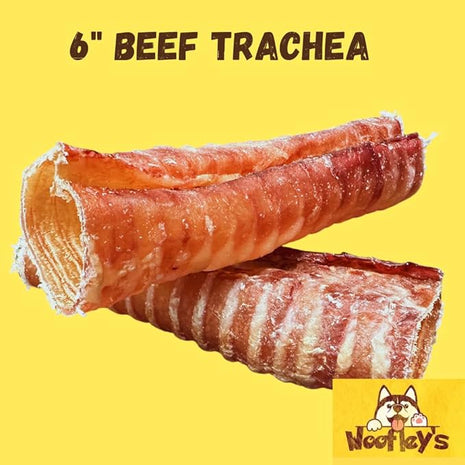 Woofley's Beef Trachea - (6 Inch 10 Pack) - Trachea Treats for Dogs - Natural Source of Glucosamine and Chondrotin for Joint Health - 100% Natural Beef Windpipe for Dogs