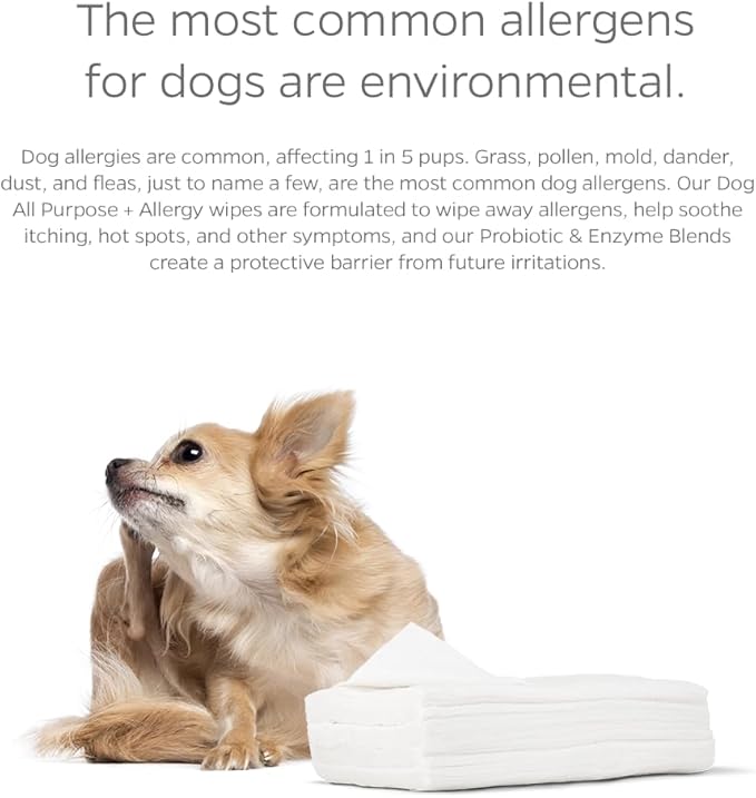 Dog All Purpose + Allergy Pet WiPees™ – 100 Allergy Wipes for Dogs, All Natural Dog Wipes for Paws, Folds & Hot Spots, Daily Pet Wipes for Allergy Relief & Skin Health (Natural, 100ct)