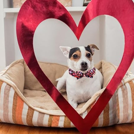 Lionet Paws Valentines Dog Collar Bowtie, Dog Bowtie Collar with Metal Buckle for Dogs, Adjustable Fabric Black Dogs Collars Girl Boy, M, Neck 13.5-22 in