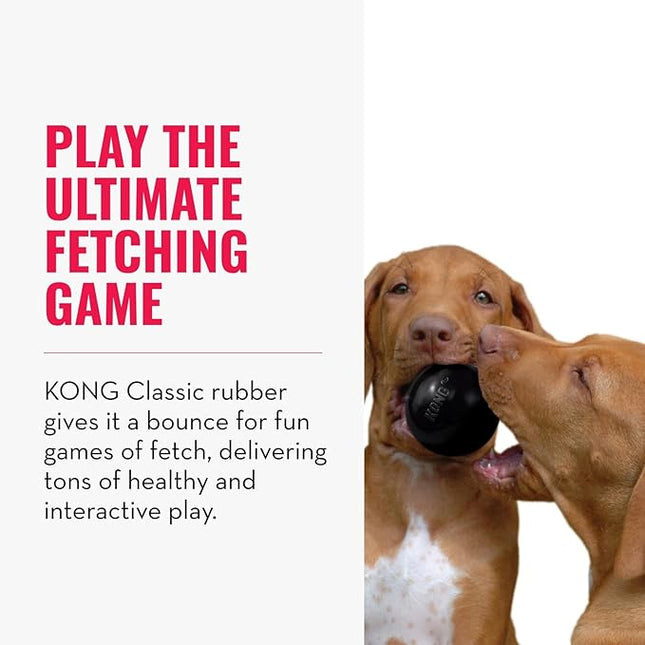 KONG Extreme Ball with Hole - Fetch Toy - Durable Dog Toy for Training, Interactive Playtime & More - Natural KONG Extreme Rubber Ball - Black - For Small Dogs