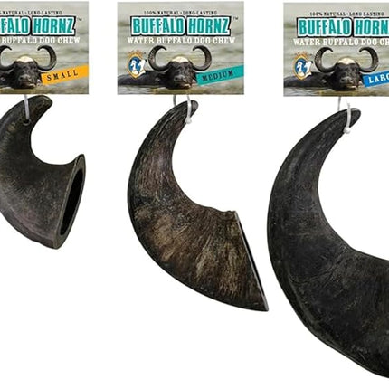QT Dog Large Water Buffalo Horn - Long-Lasting 100% All-Natural Dog Chew, Ethically Sourced Protein-Packed & Low Fat Dental Chews, Ideal for All Breeds & Aggressive Chewers
