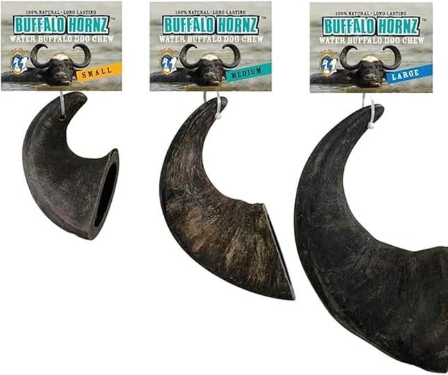 QT Dog Large Water Buffalo Horn - Long-Lasting 100% All-Natural Dog Chew, Ethically Sourced Protein-Packed & Low Fat Dental Chews, Ideal for All Breeds & Aggressive Chewers