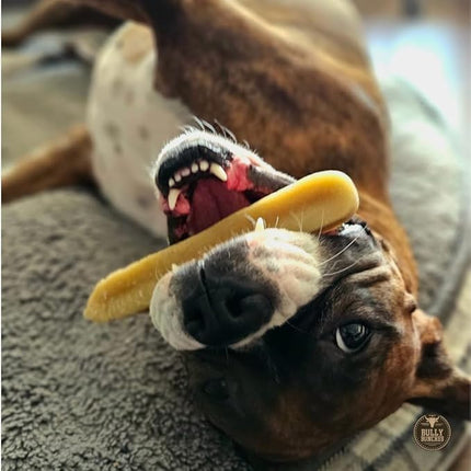 Bully Bunches Large Authentic Yak Cheese Himalayan Chews for Large Dogs & Heavy Chewers - All Natural Dog Treat Dental Chews, Made with Real Yak Milk - Lactose & Rawhide Free (2 Pk)