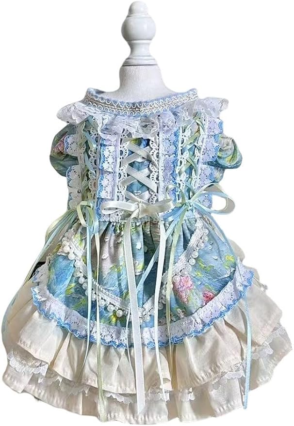 Fashion Sweet Puppy Dog Lace Princess Dress for EXTRAL Small and Small Dog B-Blue Large