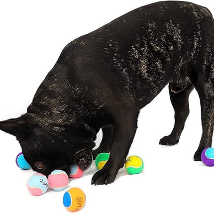 Midlee X-Small Dog Tennis Balls 1.5" Pack of 12 (Assorted, 1.5 inch)