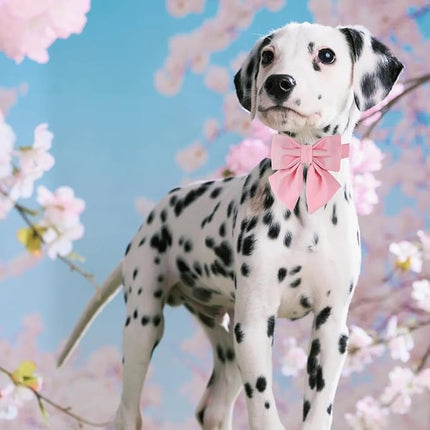 Maca Bates Cherry Pink Dog Collar with Cute Solid Sailor Bow Tie for Extra Small Girl Boy Dogs,Girly Adjustbale Durable Breakaway Soft Collars with Bowtie for Female Male Puppy,Pet with Metal Buckle