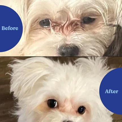 Angels’ Eyes Natural Tear Stain Supplement Chews for Dogs, Prevent Stained Fur, with Oregon Grape Root, Marshmallow Root, Colostrum, No Wheat or Corn, 120ct Chicken