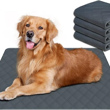 RIOUSSI Washable Pee Pads for Dogs, Reusable, Absorbent, Leakproof, Non Slip Pet Puppy Pads for Potty Training. Dark Gray, 20x28 Inch(4pack)